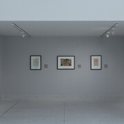 Installation in NGP