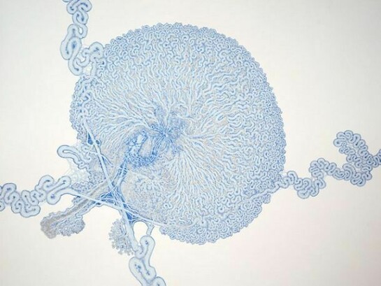 Daniel Zeller, I5, 22, 57 Interchange, with Hydra, 2013, Ink and acrylic on paper, 30 x 37 inches