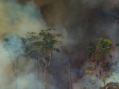 La Amazonia en el punto de mira de los terratenientes de Brasil