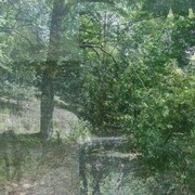 Azucena Vientes, de la serie Tableau vivant, 2013, Serigrafía sobre papel, 76 x 112cm, colección de la artista