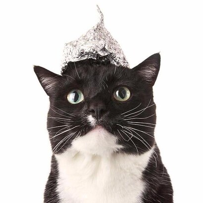 Un gato con un sombrero de papel de aluminio