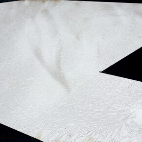 Nanni Menetti, Sempre più lontano da me, crio-grafie (2014), dettaglio, 40 x 60 cm