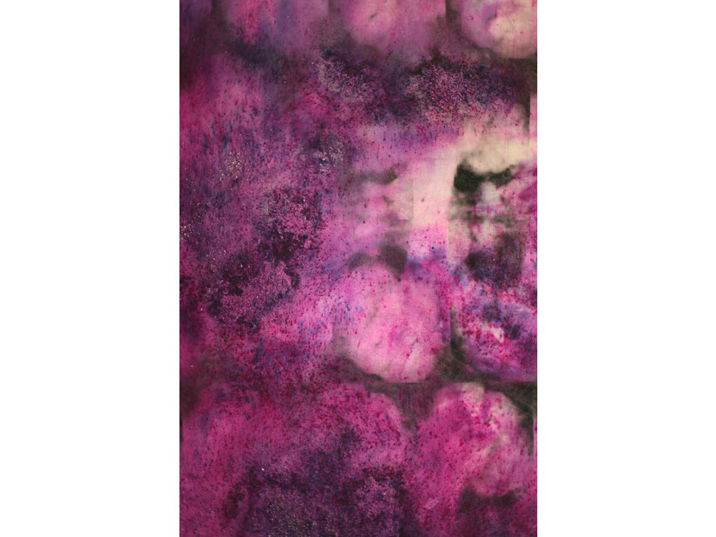 Charlie Godet Thomas, In Comes the Good Air, Out Goes the Bad Air, In Comes the Good Air (Jump from the South Portico), detail, 2014