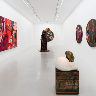 Bharti Kher, The sun splitting stones, vue de l'exposition. Avec l'aimable autorisation de Perrotin