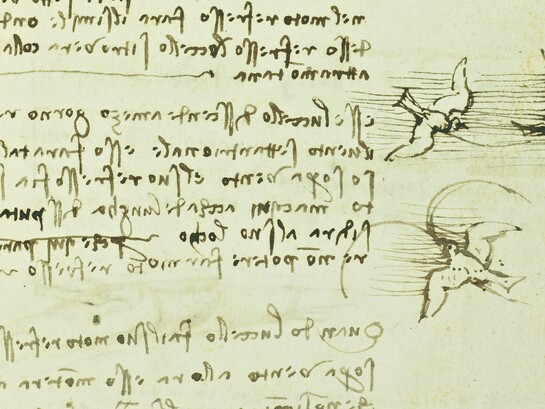 Leonardo da Vinci, Codice sul volo degli uccelli, 1505. Pagina 6, recto, dettaglio