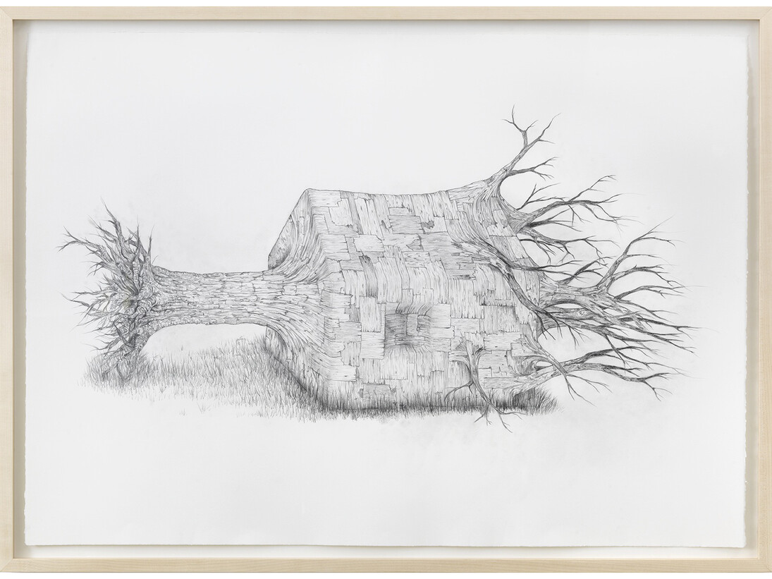 Henrique Oliveira, Full Body Shadow, 2015, Crayon sur papier / Pencil on paper, 75 x 106 cm / 29 1/2 x 41 3/4 in. Pièce unique / Unique piece, Courtesy Galerie GP & N Vallois Paris, Photo : André Morin