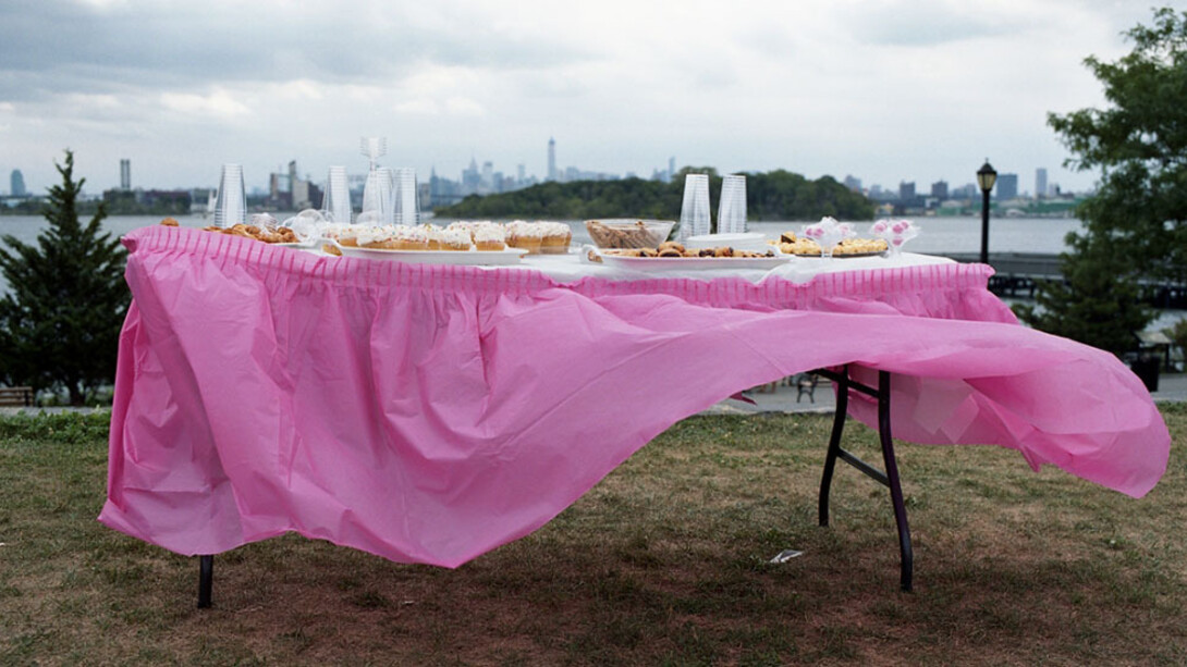 Susannah Ray: A Further Shore. Courtesy of Bronx Museum of the Arts 
