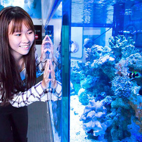 Singapore Innovations. Courtesy of Science Centre