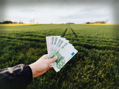 A sustainable and just market system would be based on valuing these ecological benefits and monetizing them as regulatory assets