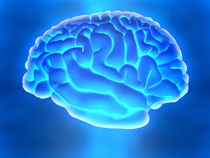 I poteri del cervello