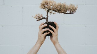 Plantando la semilla de la solidaridad en Europa