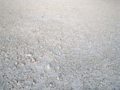 Raccolta Antologica. Courtesy of Museo di Fotografia Contemporanea