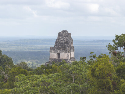 Templo de la Serpiente Bicéfala, el mayor de Tikal, antiguo asentamiento maya en Guatemala