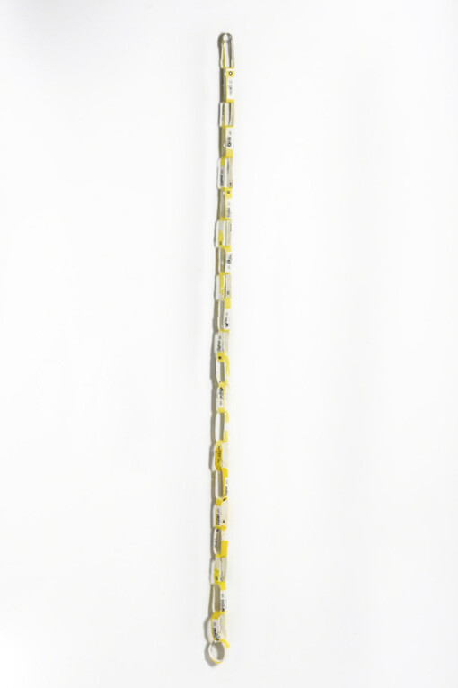 Registros/Records. Courtesy of Kogan Amaro