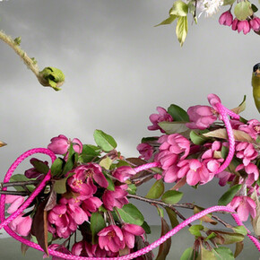 It Doesn't Look The Same Anymore. Courtesy of Pentimenti Gallery