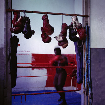 Out of Nowhere. Courtesy of Christopher Grimes Gallery