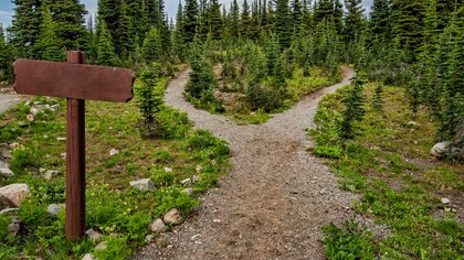 Footpath showing two different routes