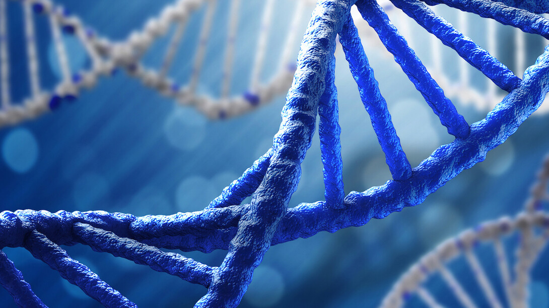 The self-replication od DNA