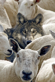 Es muy difícil detener una campaña malintencionada