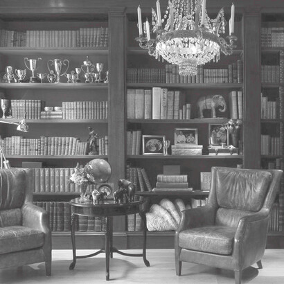 La biblioteca de su abuelo (más de tres mil ejemplares) le parecía algo inconcebible. ¿Cómo se podía leer todo eso?
