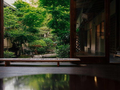 A framed garden sanctuary within the home, symbolising the essence of architectural thresholds as moments of transition