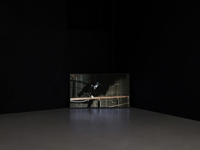 Douglas Gordon. Courtesy of Kamel Mennour Gallery
