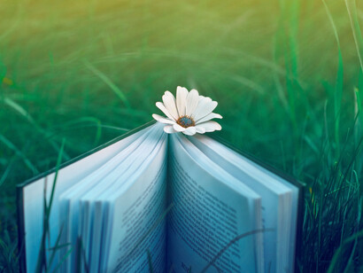 Un libro en el campo