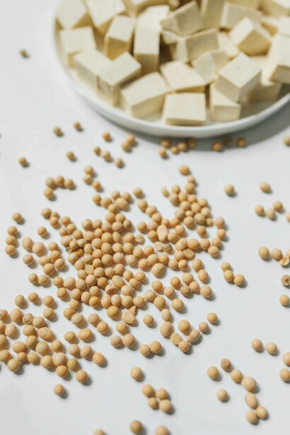 Plant-based soy protein isolate shown through tofu, soybeans, and soy milk on a white background