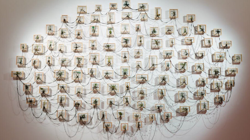 Passion and procession. Courtesy of Art Gallery of NSW