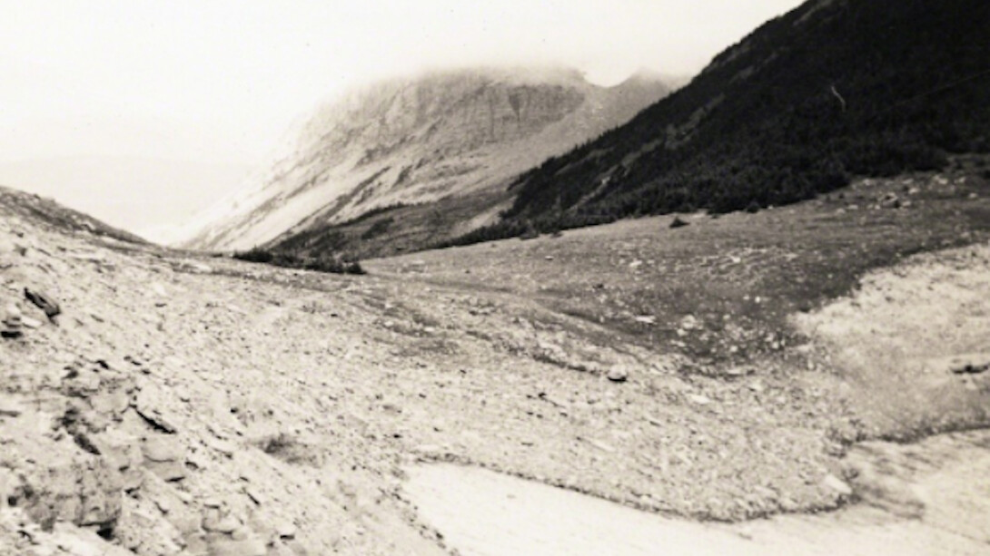 The Origins of Grey. Courtesy of Pierogi