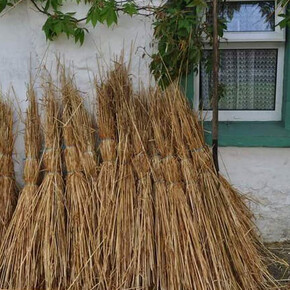 Els Dietvorst. Courtesy of M HKA