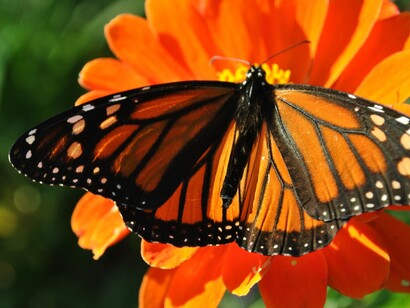 Ci siamo dovuti rinchiudere in casa per lasciare spazio ai nostri pensieri