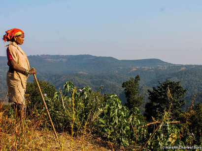 Una donna Baiga. Il suo villaggio, nel Chattisgarh, si trova all’interno di un corridoio per le tigri e rischia lo sfratto (Foto di maggio 2014). © Harshit Charles/ Survival

