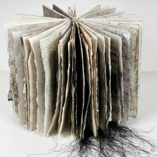 Ania Gilmore and Annie Zeybekoglu, Evidence Vol. 48, 6134, 27, 537, 1129. Boston, USA