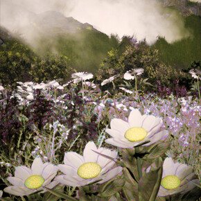 Alexandra Daisy Ginsberg. Courtesy of Vitra Design Museum