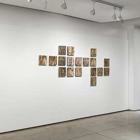 Dafne Kleiman, Quintessence, exhibition view. Courtesy of Otto Gallery