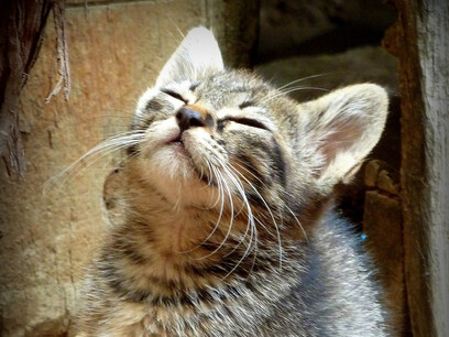 Happiness © Marina del Castell