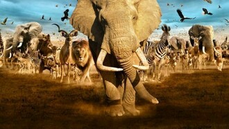 Molte specie viventi migrano, tra esse l'uomo.