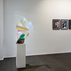 Verschiedene künstler, La vie en rose, ausstellungsansicht. Mit freundlicher genehmigung der Galerie Luisa Catucci 