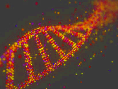 Me pareció sorprendente es que una causa tan común de un trastorno del desarrollo neurológico se haya pasado por alto en el campo porque nos hemos centrado en los genes codificantes