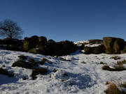 Andy Goldsworthy, Quarry Tree North Yorkshire, England, 10 February 2015, Archival inkjet print, 62.4 x 92.4 cm, courtesy the artist and The Fine Art Society