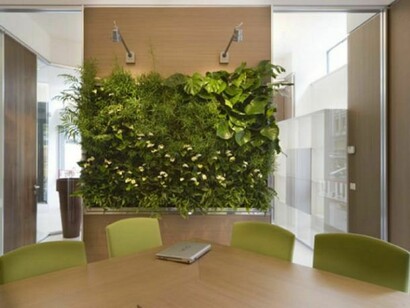 Un angolo verde anche in ufficio