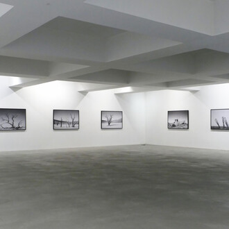 Luís Campos, Endscape, exhibition view. Courtesy of Carlos Carvalho