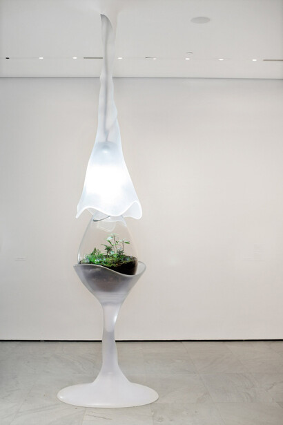 Paula Hayes. Courtesy of Aspen Art Museum