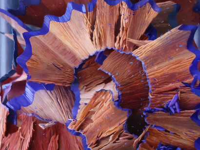 ‘Shavings VI’. Oil on Board, 80 x 80 cm.