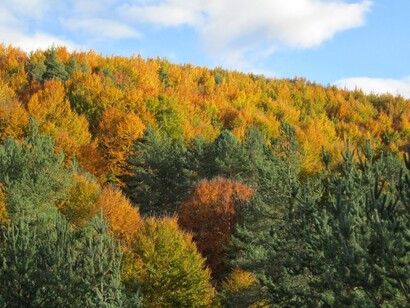 Navarra. El valle de Salazar