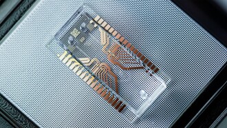 The microfluidic chip, a key element of future lab-on-a-chip devices