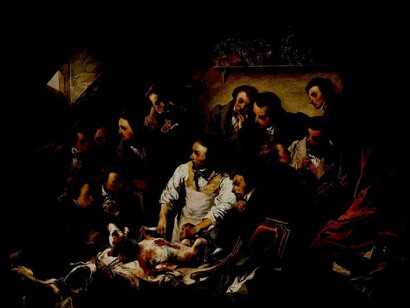 Vivisección de un perro