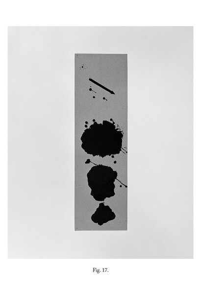 Victoria Jenkins, Fig. 17