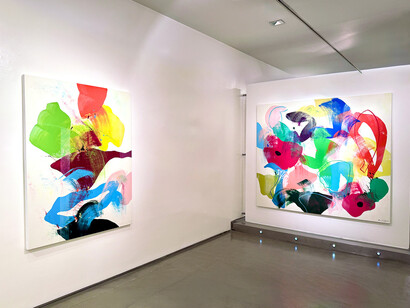 Carlos Arnaiz, Obras recientes, vista de exhibición. Cortesía de la Galería Jorge Mara – La Ruche